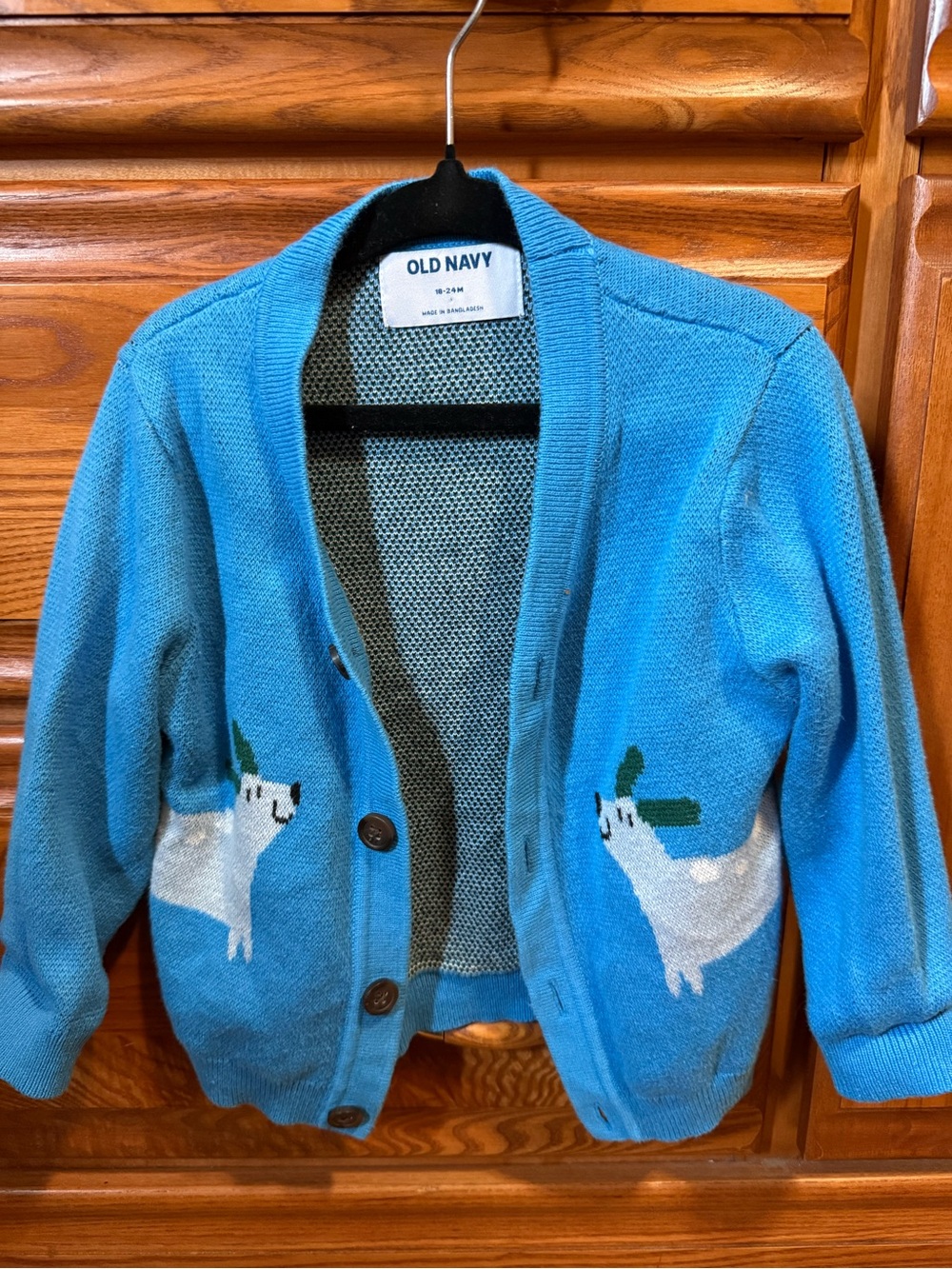 Dachshund Cardigan